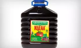 подкормка с использованием препарата Идеал яблони уральское наливное10