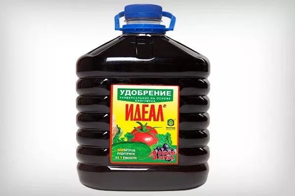 подкормка с использованием препарата Идеал яблони уральское наливное10