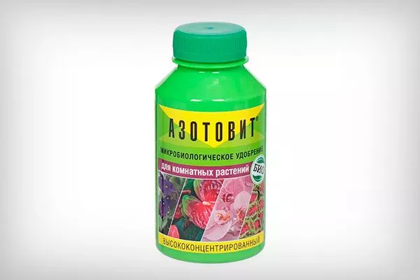 подкормки с содержанием азота как удобрять пеларгонию27