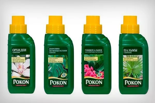 Покон для герани и гортензии как удобрять пеларгонию28