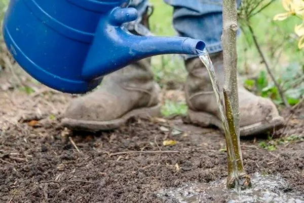 полив для сибири и урала45