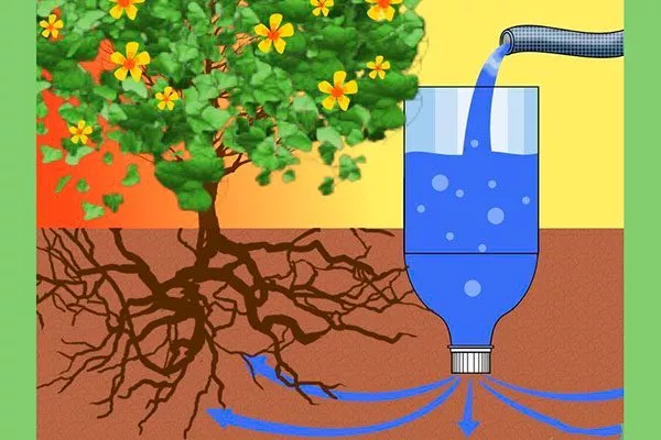 Полив под капельницами с помощью бутылок Полив яблони17