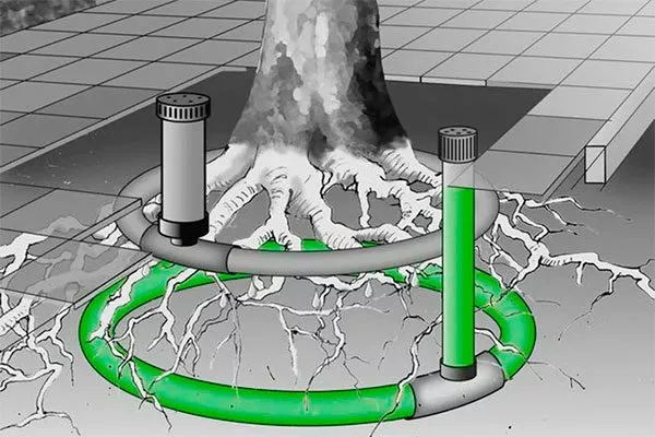 Полив с помощью канализационных труб Полив яблони18