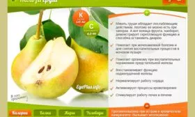 польза груш груши Память Жегалова21
