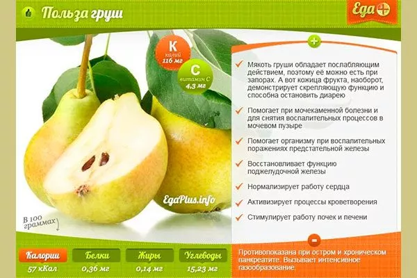 польза груш груши Память Жегалова21