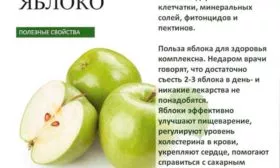 Польза яблони Семеренко