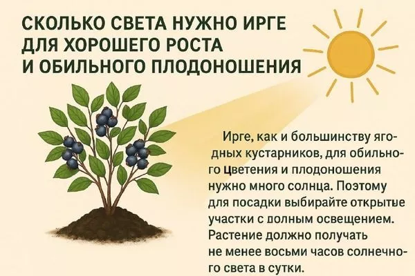 требования ирги к освещению