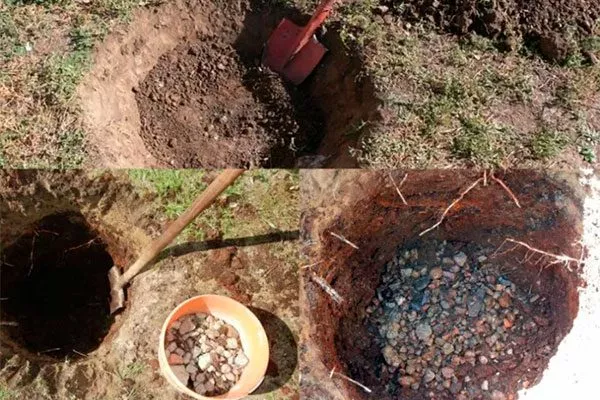 посадочная яма для сибири и урала48