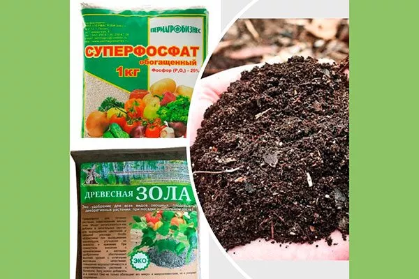 посадочную яму заранее Удобрение грецкого ореха19