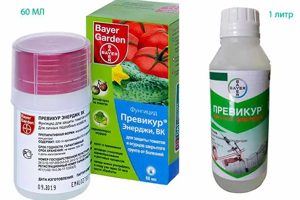 Превикур болезни у пеларгонии15