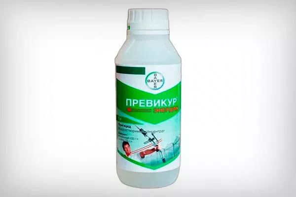 превикур1 болезни у пеларгонии16