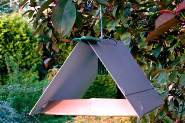 применение ловушек