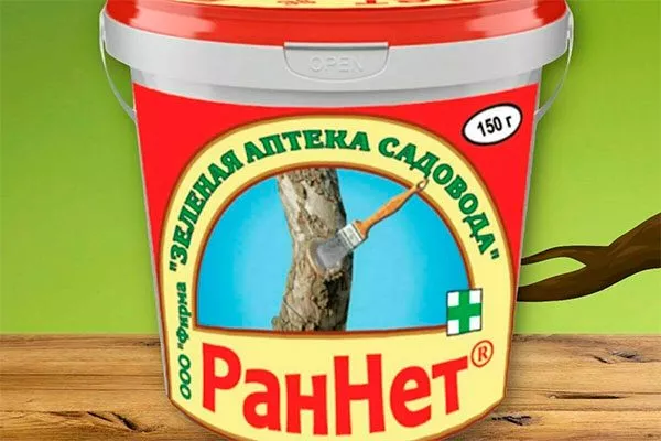 РанНет трескается кора груши15