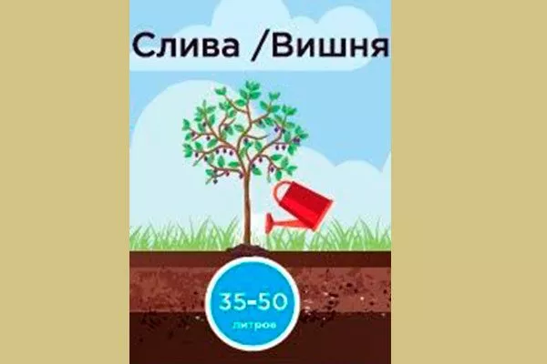 Расчёт количества воды как поливать12