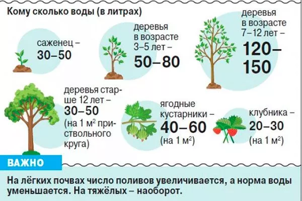 Расчёт количества воды2 как поливать13