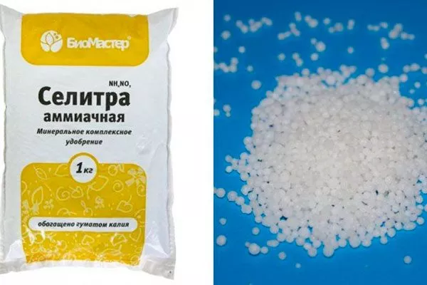 раствор аммиачной селитры Чем подкормить хурму11