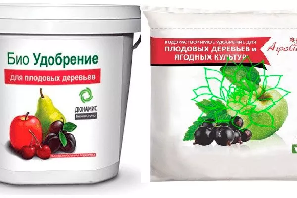 разработанные для плодовых деревьев Чем подкормить хурму10