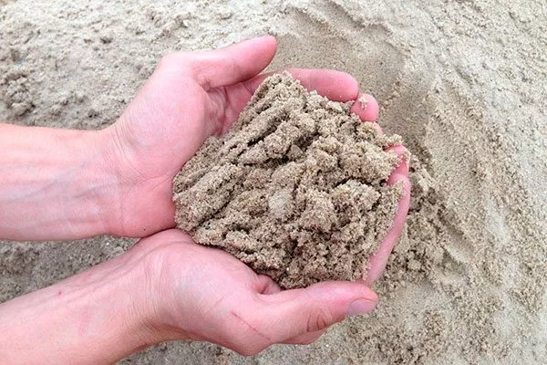 речной песок Критерии выбора почвы17