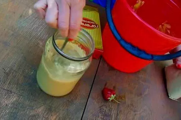 С горчичным порошком