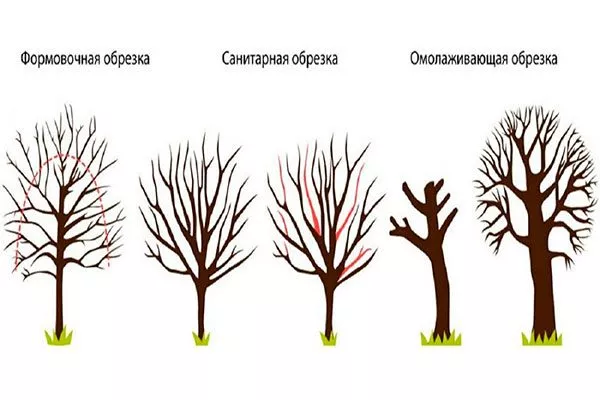 перекопку или рыхление почвы
