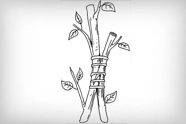 сжать и обвязать