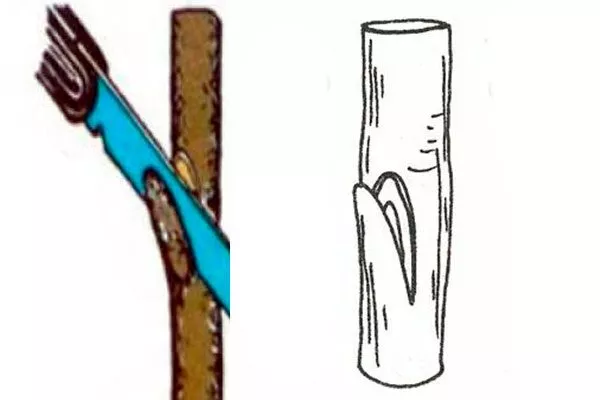 сделать зарез