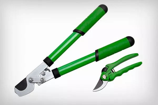 Секатор или сучкорез Обрезка яблони60