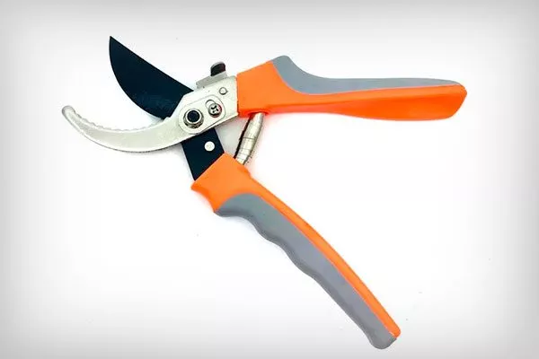 секатор пересадка пионов29