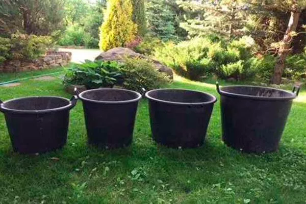 Секционный контейнер или садовое ведро обрезка пионов25