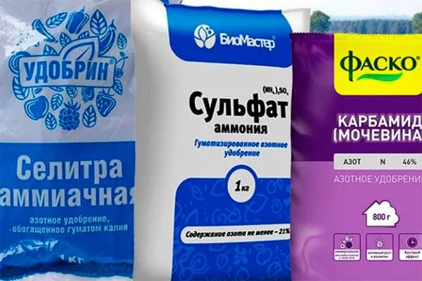 селитру, сульфат аммония и карбамид (мочевину) для яблони47