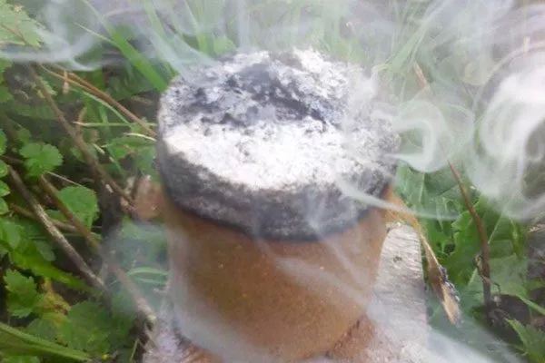 Шашки для окуривания трипсы30