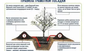 Схема посадки