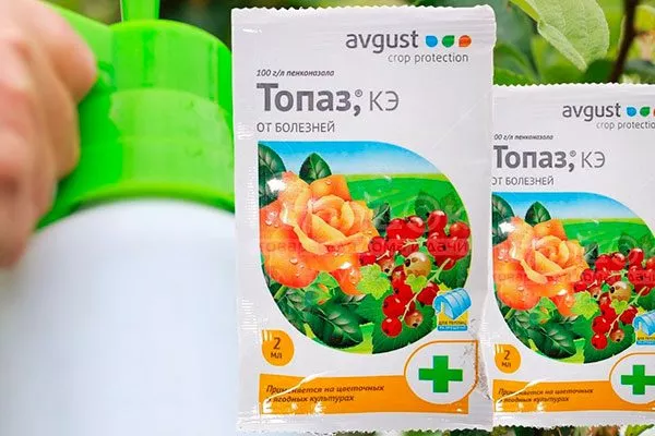 системные фунгициды (например, Топаз, Скор) посадка пионов32