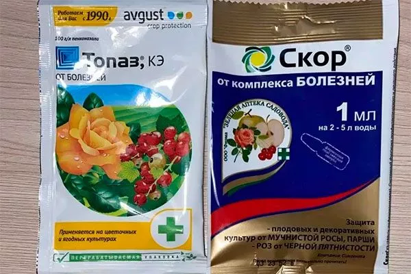 системные фунгициды (например, Топаз, Скор)2 посадка пионов33