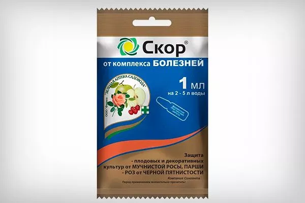 Скор от парши