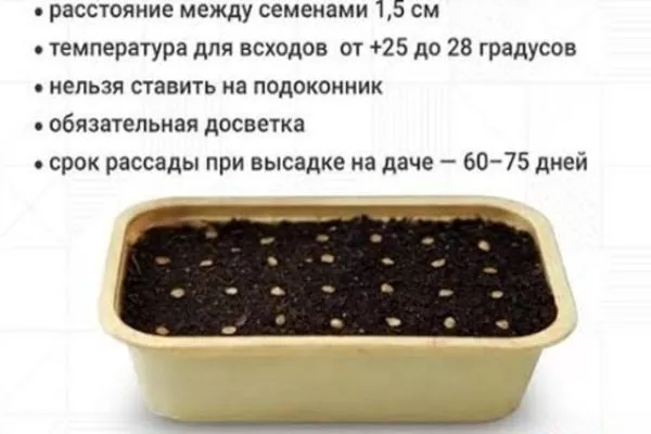 правила посева семян сорта Жизель