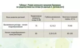 правила полива баклажанов Жизель