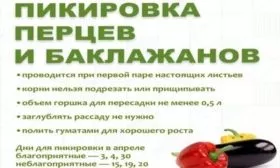 про пикировку рассады Жизель