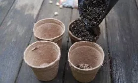 подготовка тары для выращивания рассады Жизель