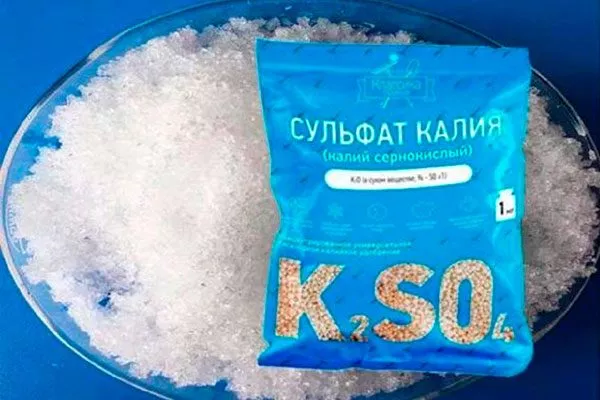 сульфат калия Чем подкормить хурму12