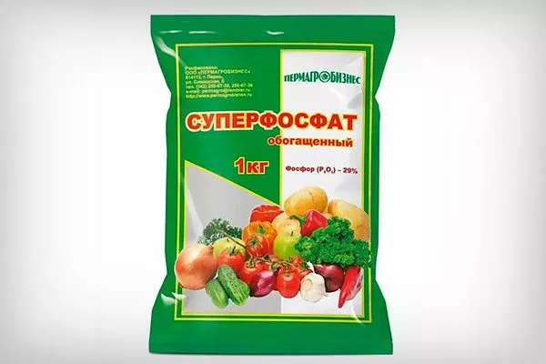 Суперфосфат Удобрение грецкого ореха23