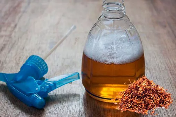 Табачные листья