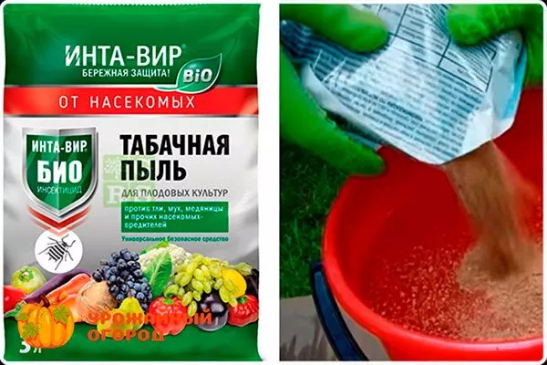 Табак Тля на груше40