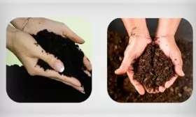 Торф или перегной Критерии выбора почвы22