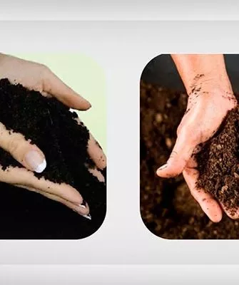 Торф или перегной Критерии выбора почвы22