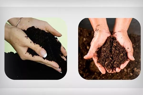 Торф или перегной Критерии выбора почвы22