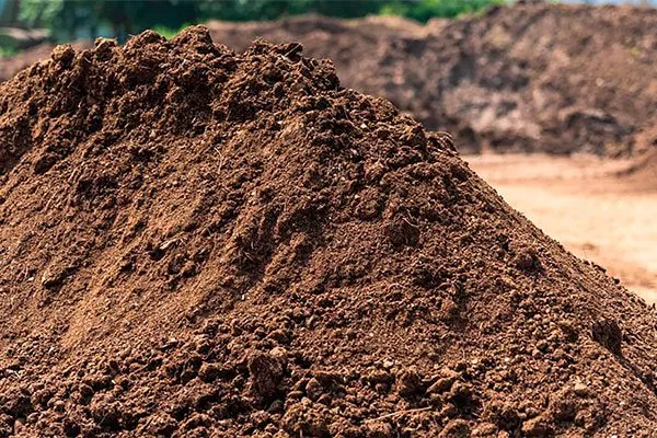 Торф Удобрение грецкого ореха24