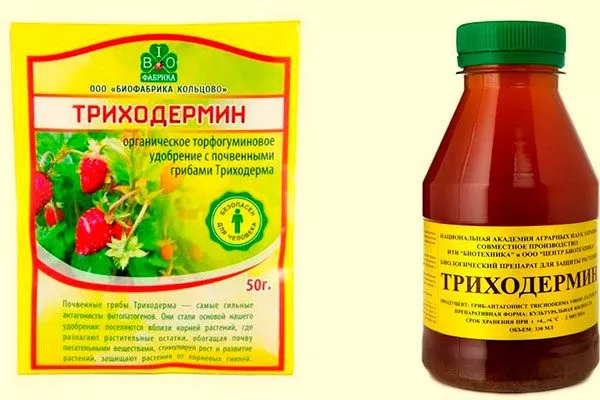 Триходермин от парши