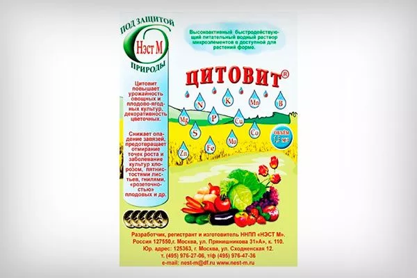 Цитовит как удобрять пеларгонию38