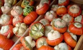 Турецкий тюрбан